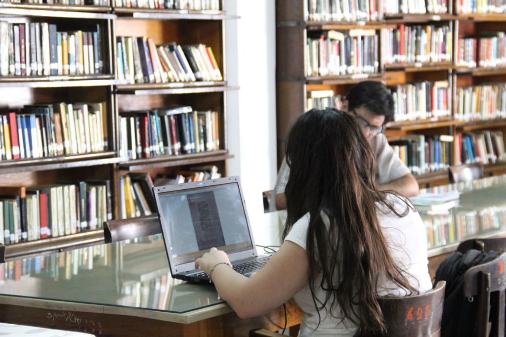 Desarrollo informático de la institución