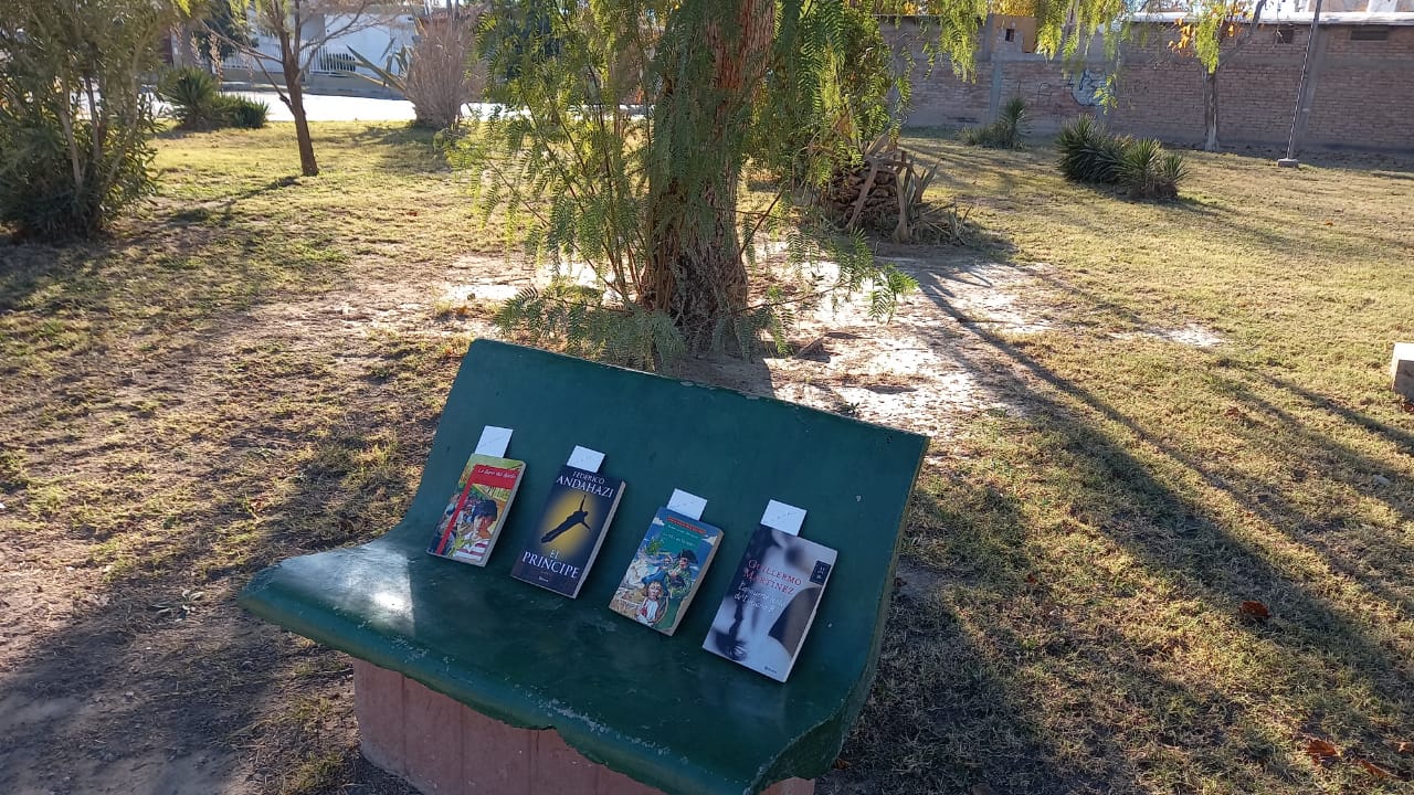 Suelta de libros, imagen 4