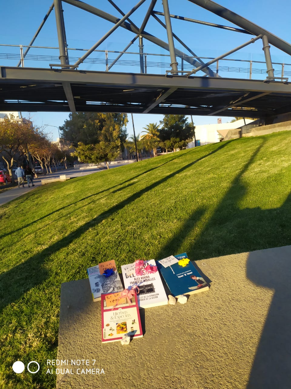Suelta de libros, imagen 2