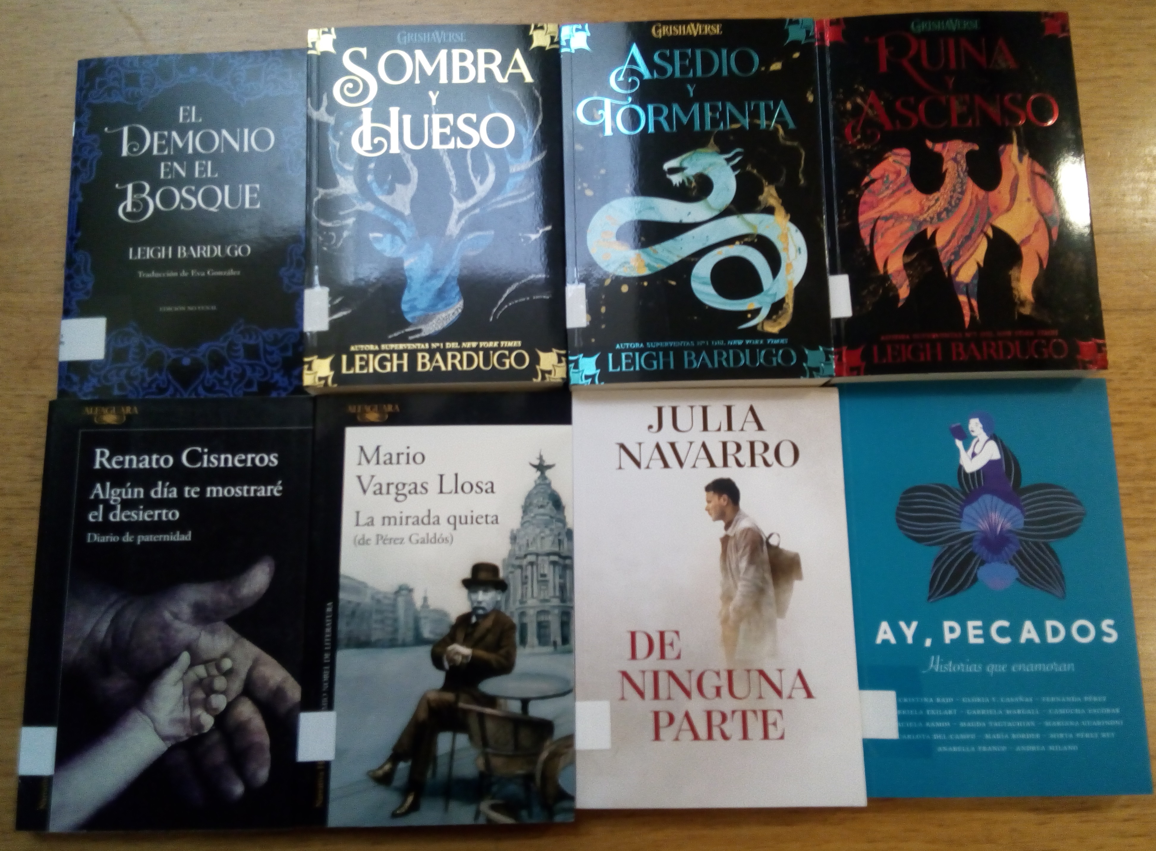 Feria del libro 2022: ya se encuentran a disposición de socios y usuarios los libros adquiridos, gracias al aporte de Conabip, en la Feria del Libro 2022