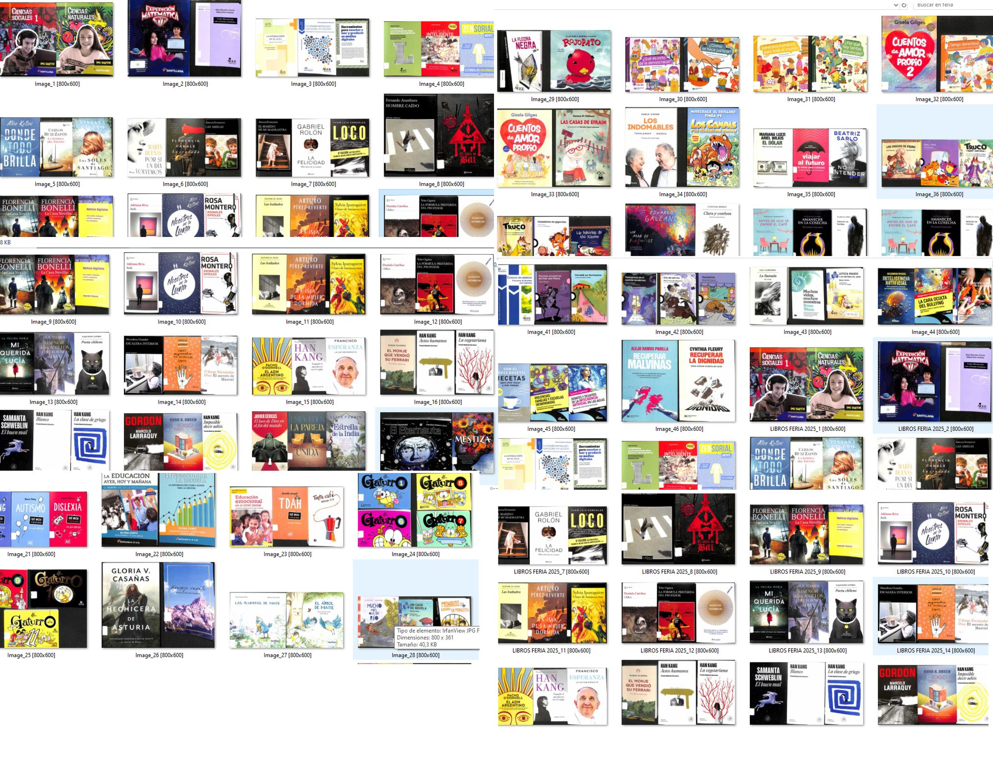 Libros adquiridos en Feria del Libro 2025